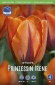 Тюльпан Принцесса Ирен (Tulipa Prinzessin Irene), 10 шт (разбор 11/12)