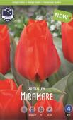 Тюльпан Мирамаре (Tulipa Miramare), 10 шт (разбор 12/14)