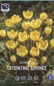 Крокус Романс (Crocus Romance), 25 шт (разбор 5/7)