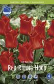 Тюльпан Рэд Райдинг Худ (Tulipa Red Riding Hood =  Roodkapje), 10 шт (разбор 11/12)