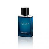 BOUCHERON SINGULIER men