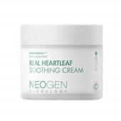 Новинка!!! Neogen Dermalogy Real Heartleaf Soothing Crem Успокаивающий крем от сухости с хауттюйнией