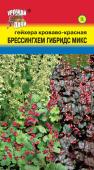 цГейхера Брессингхем Гибридс микс 0,05г