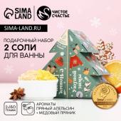 Подарочный набор ЧИСТОЕ СЧАСТЬЕ «Уютной зимы»: соль для ванны, 2х150 г, Новый Год