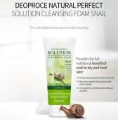 DEOPROCE NATURAL PERPECT SOLUTION CLEANSING FOAM SNAIL Пенка для умывания с муцином улитки 170г