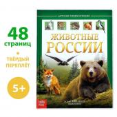 Энциклопедия детская в твёрдом переплёте «Животные России», 48 стр.