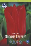 Тюльпан Мадам Лефебер (Tulipa Madame Lefeber), 10 шт (разбор 11/12)