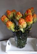 Тюльпан Ле Лаванду (Tulipa Le Lavandou), 5 шт (разбор 11/12)
