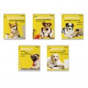 Тетрадь общая ученическая ErichKrause Ученые собаки, 36 листов, клетка_MIX-PACK