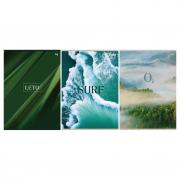 Тетрадь 48 л., А4, клетка BG Лето, эконом, Т4ск48 60320