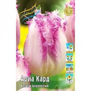 ТЮЛЬПАНЫ БАХРОМЧАТЫЕ