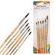 Набор кистей для рисования, белка, 6 штук: № 2, 4, 6, 8, 10, 12, Calligrata, круглые, деревянная ручка, международный размер