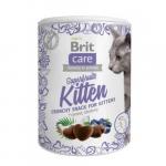 BRIT CARE ЛАКОМСТВО Д/КОТЯТ SUPERFRUITS KITTEN СУПЕРФРУТС 100 ГР.