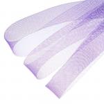 Регилин плоский, 40мм, 45±1м, цвет фиолетовый