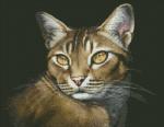 "Абиссинская кошка" набор для выкладывания стразами