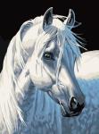 "Белая лошадь" живопись на холсте 30*40см