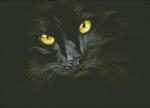 "Черная кошка" набор для выкладывания стразами