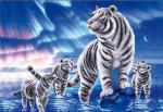 "Белые тигры" (рис. на ткани 39х27)