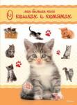Моя большая книга о кошках и котятах