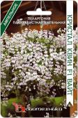Пеларгония плющелистная ампельная Кристал Квин F1 Вайт. Семена.