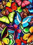 "Яркие бабочки" Набор для выкладывания стразами