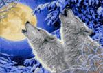 "Лунная соната" Рисунок на канве