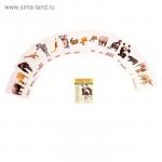 Карточки обучающие "Животные жарких стран" 16 шт. 6,3 х 8,7 см. 599213