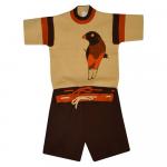 Комплект для мальчика (Джемпер с коротким  рукавом+шорты)  8067-бежевый/коричневый