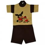Комплект для мальчика (Джемпер с коротким  рукавом+шорты)  1538-09-бежевый/коричневый