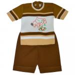 Комплект для мальчика (Джемпер с коротким  рукавом+шорты)  162-белый/коричневый
