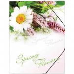 Папка на резинке Berlingo Spring Flowers А4, 550 мкм, ANp_01431