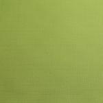 Рулонная штора эконом Сантайм Лен, светло-зеленый  (df-200201-gr)