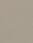 Рулонная штора эконом Сантайм Лен, серый  (df-200341-gr)