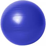 B31166-3 Мяч гимнастический Gym Ball 55 см (синий)