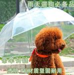 Зонт-поводок для собак 001