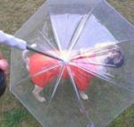 Зонт-поводок для собак 001