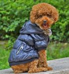 Зимняя куртка для собак PTS-034