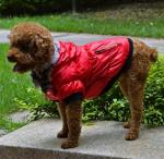 Зимняя куртка для собак PTS-034