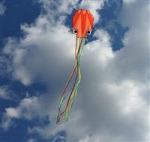 DE 0440 Воздушный змей «ОСЬМИНОГ» оранжевый (Kite octopus orange)