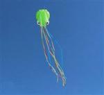 DE 0438 Воздушный змей «ОСЬМИНОГ» зеленый (Kite octopus green)