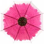 Зонт-трость женский Гербера цвет микс, 8 спиц, d-92 см, длина в слож. виде 71 см