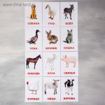 Обучающие карточки "Домашние животные"