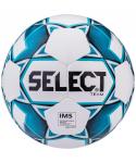 Мяч футбольный Team IMS 815419 №5, белый/синий/черный