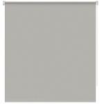 Рулонная штора ролло "Апилера", серый                             (ax-200057-gr)