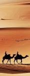 Рулонная штора термоблэкаут Пустыня                (d-200792-gr)