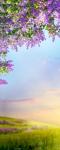 Рулонная штора термоблэкаут Закат над полем                (d-200752-gr)