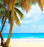 Рулонная штора ролло термоблэкаут Тропический пляж                (d-201082-gr)