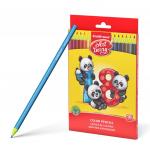 Пластиковые цветные карандаши шестигранные ArtBerry® 18 цветов