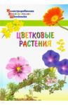 Цветковые растения.Орехов