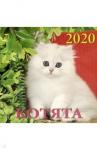 70005 2020 Календарь Котята